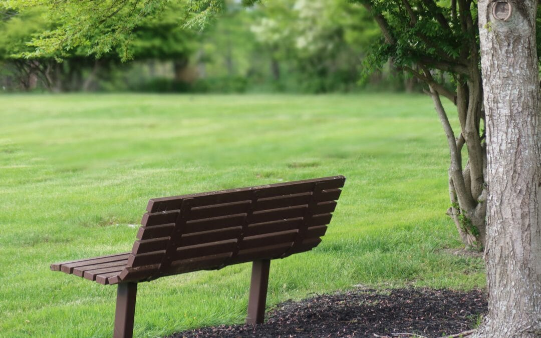 Moving Forward After Loss – How Widows Can Heal and Rebuild Life