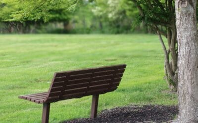 Moving Forward After Loss – How Widows Can Heal and Rebuild Life